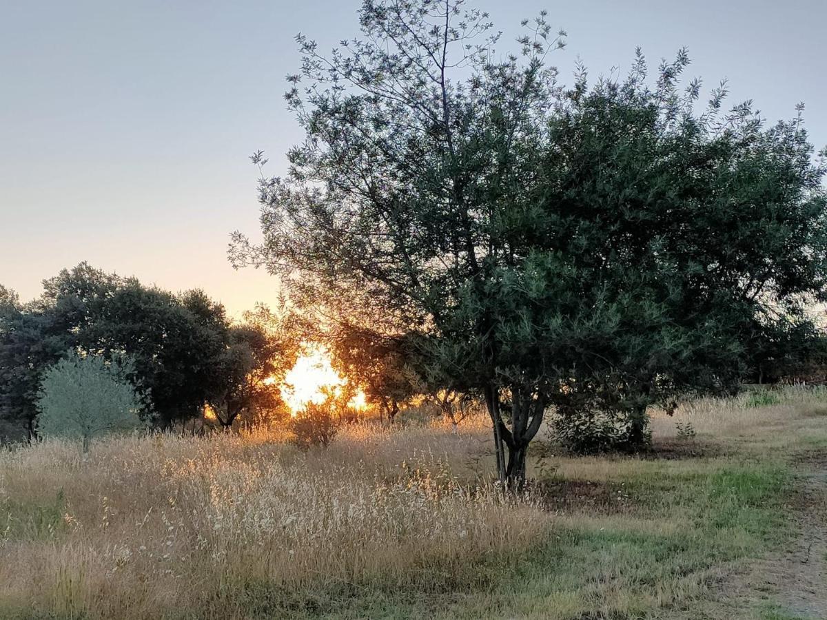 ラ・コドセラ Casa Rural Camino Del Alentejoヴィラ エクステリア 写真