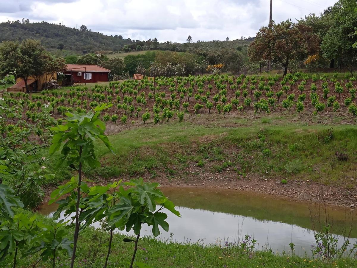 ラ・コドセラ Casa Rural Camino Del Alentejoヴィラ エクステリア 写真