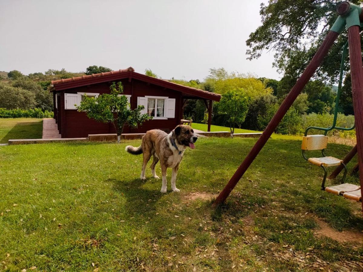 ラ・コドセラ Casa Rural Camino Del Alentejoヴィラ エクステリア 写真