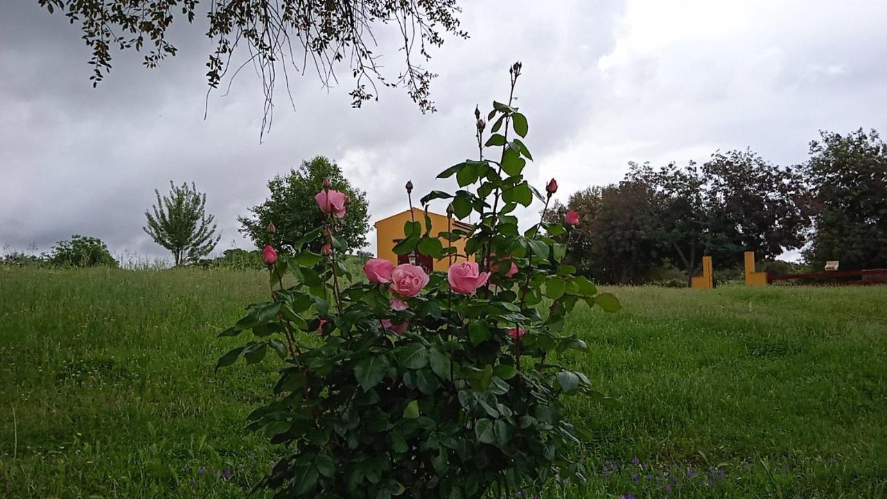 ラ・コドセラ Casa Rural Camino Del Alentejoヴィラ エクステリア 写真