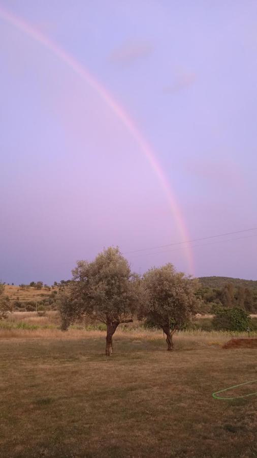 ラ・コドセラ Casa Rural Camino Del Alentejoヴィラ エクステリア 写真