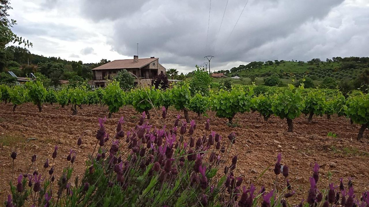 ラ・コドセラ Casa Rural Camino Del Alentejoヴィラ エクステリア 写真