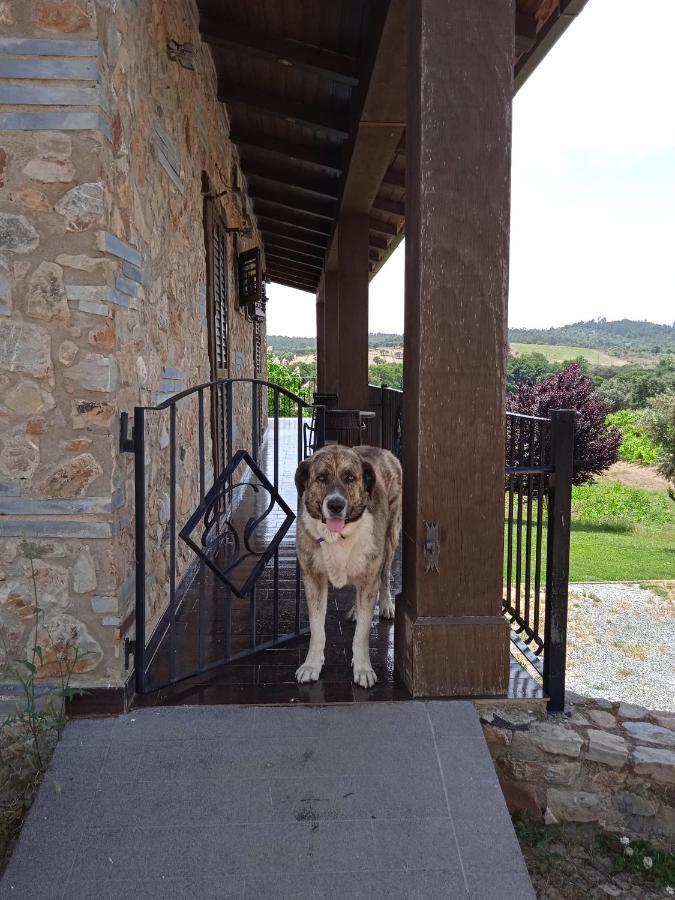 ラ・コドセラ Casa Rural Camino Del Alentejoヴィラ エクステリア 写真